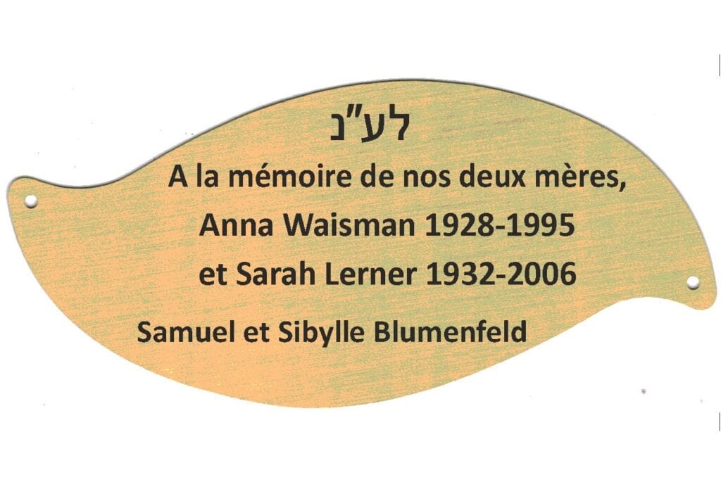 feuille-etz-haim-arbre-vie-deuil-memoire-adathshalom